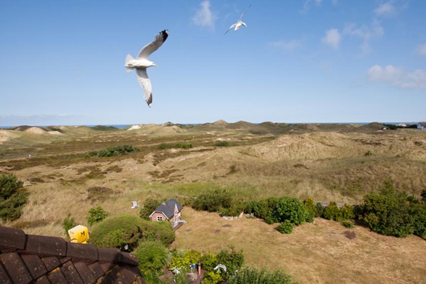 hoelck-amrum-aussen-3